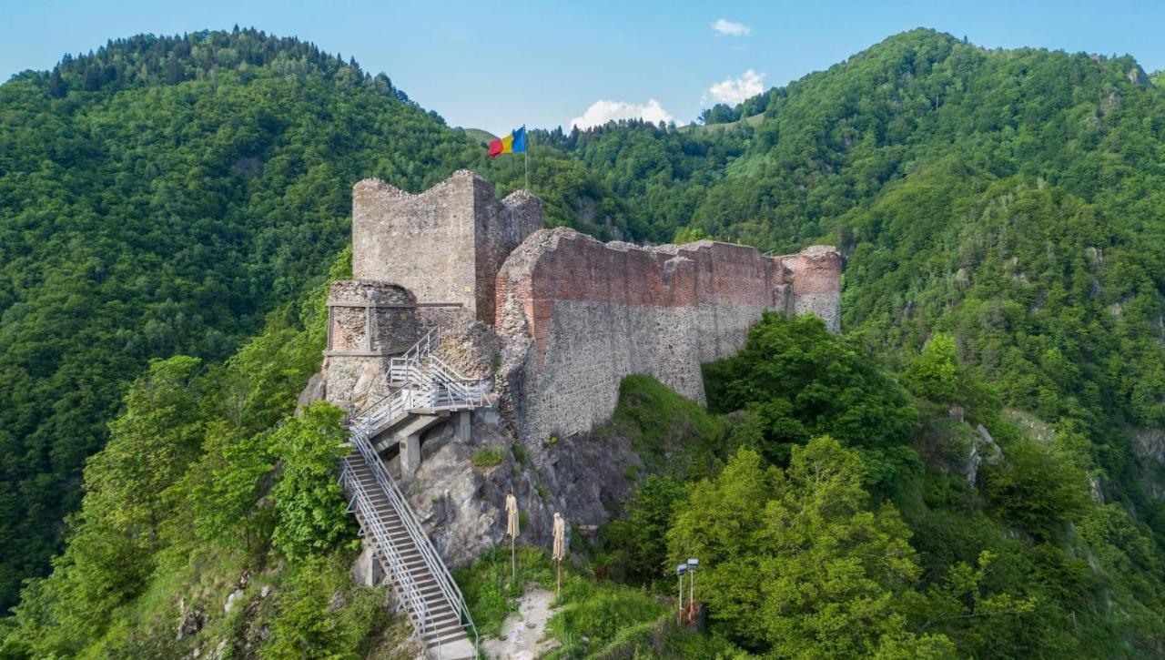 Casa Lupilor Transfagarasan Villa Căpăţîneni-Ungureni Bagian luar foto
