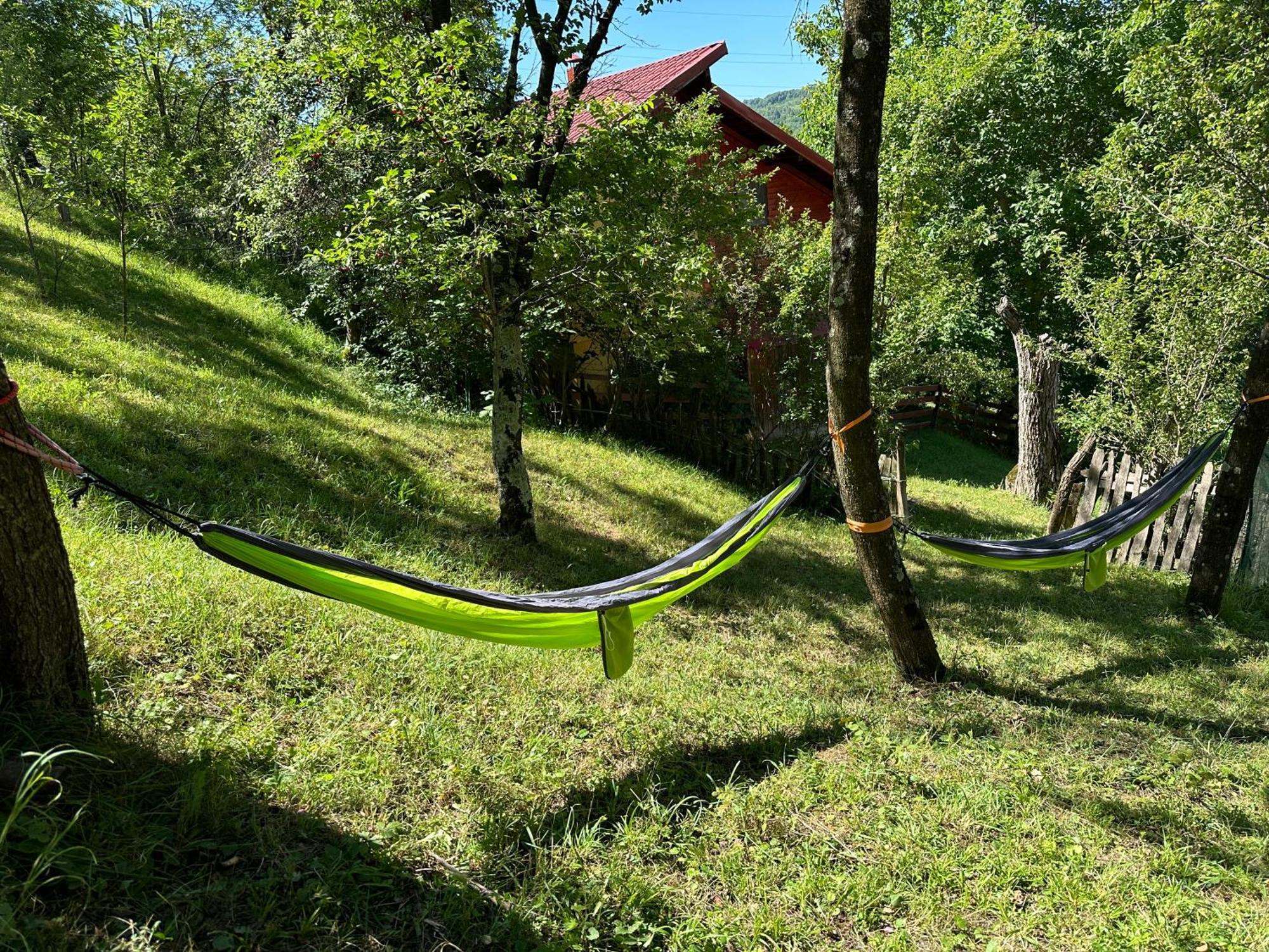 Casa Lupilor Transfagarasan Villa Căpăţîneni-Ungureni Bagian luar foto