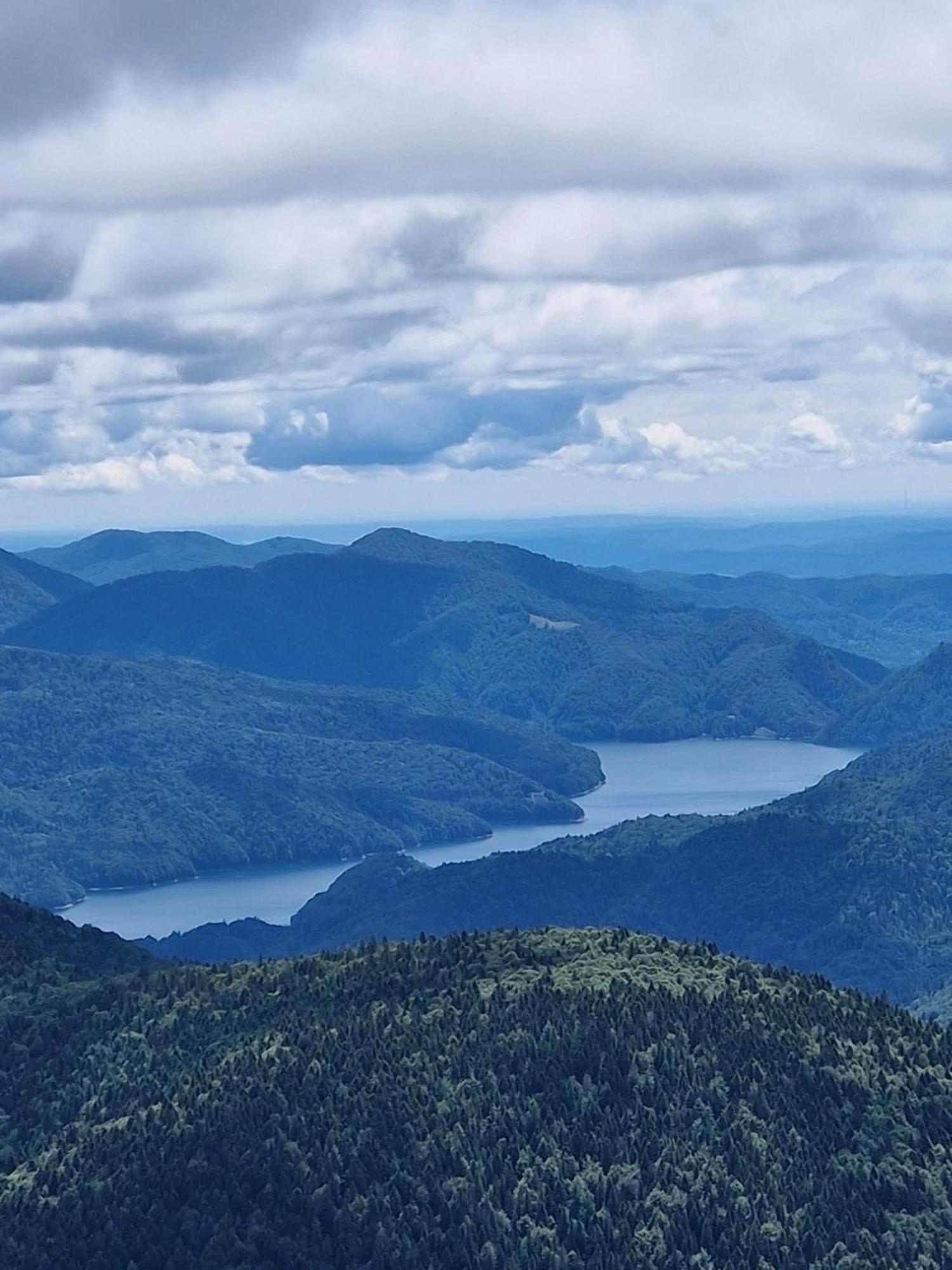 Casa Lupilor Transfagarasan Villa Căpăţîneni-Ungureni Bagian luar foto