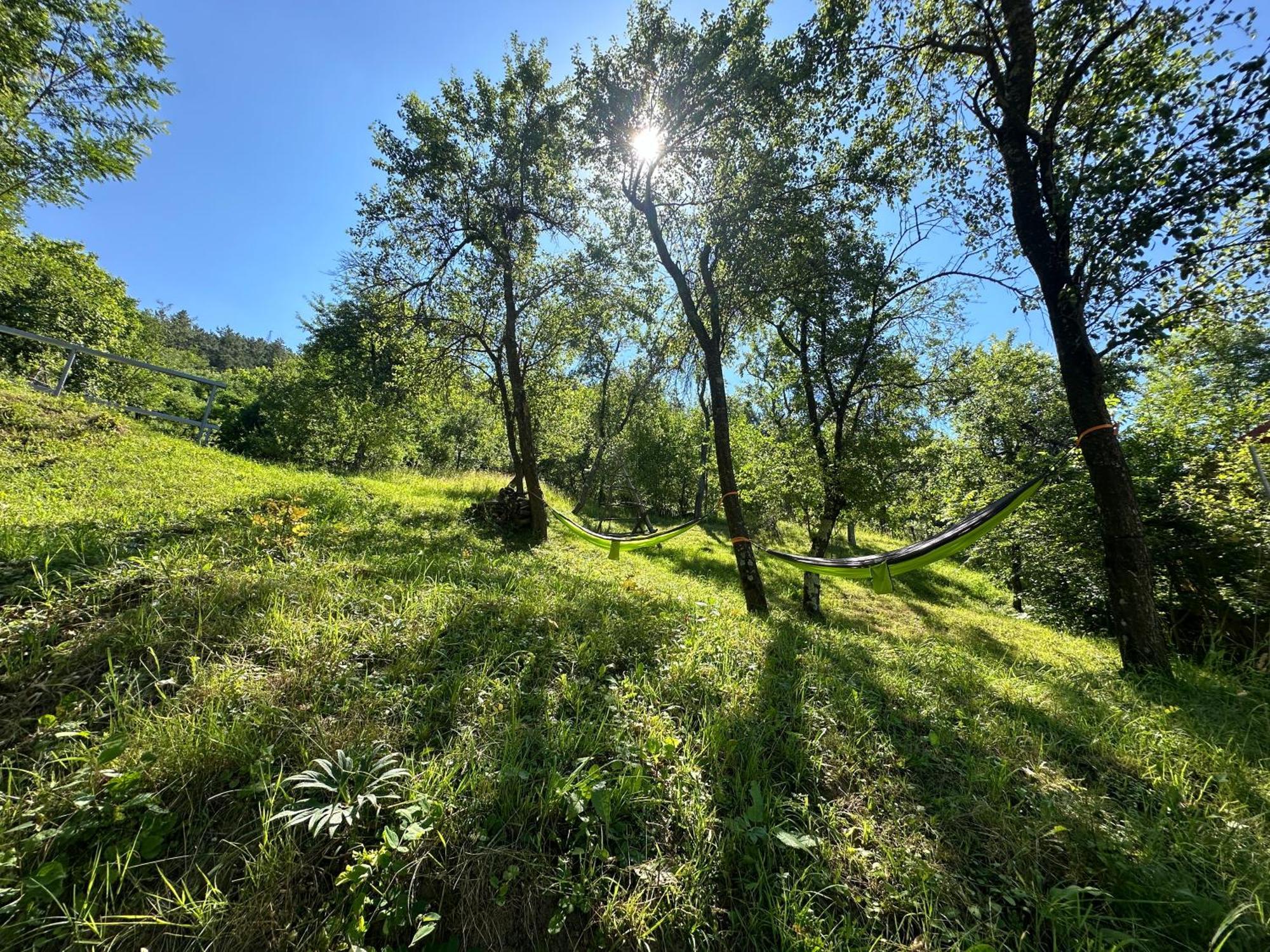Casa Lupilor Transfagarasan Villa Căpăţîneni-Ungureni Bagian luar foto